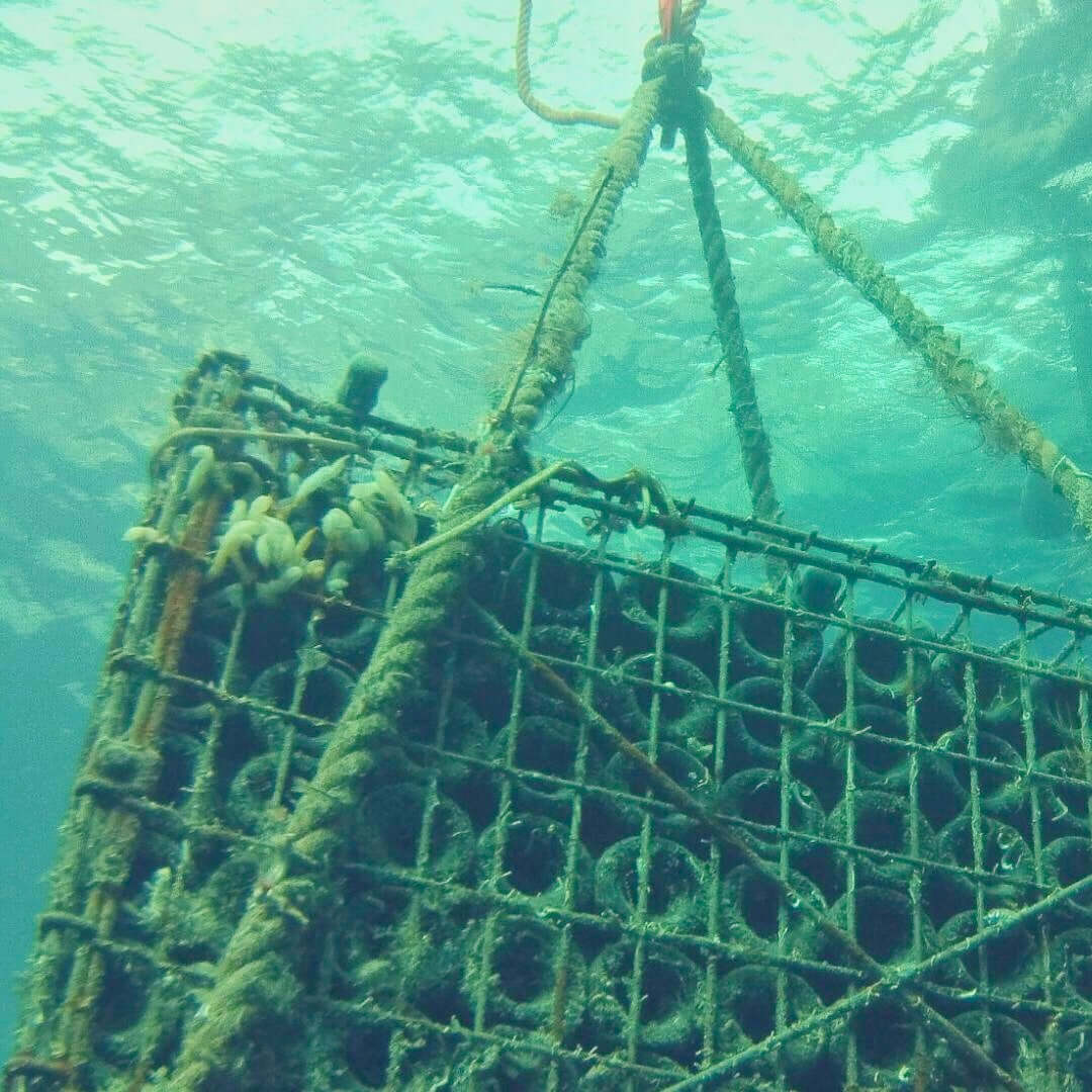 birre kbirr e affinamento subacqueo